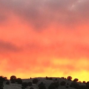 Meet your Posher, Sevastiane